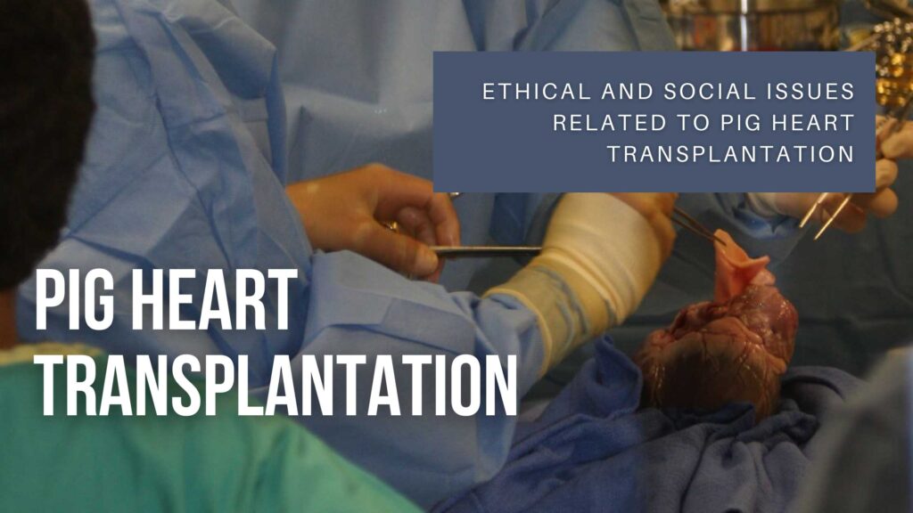 Ethical-and-Social-Issues-Related-to-Pig-Heart-Transplantation
